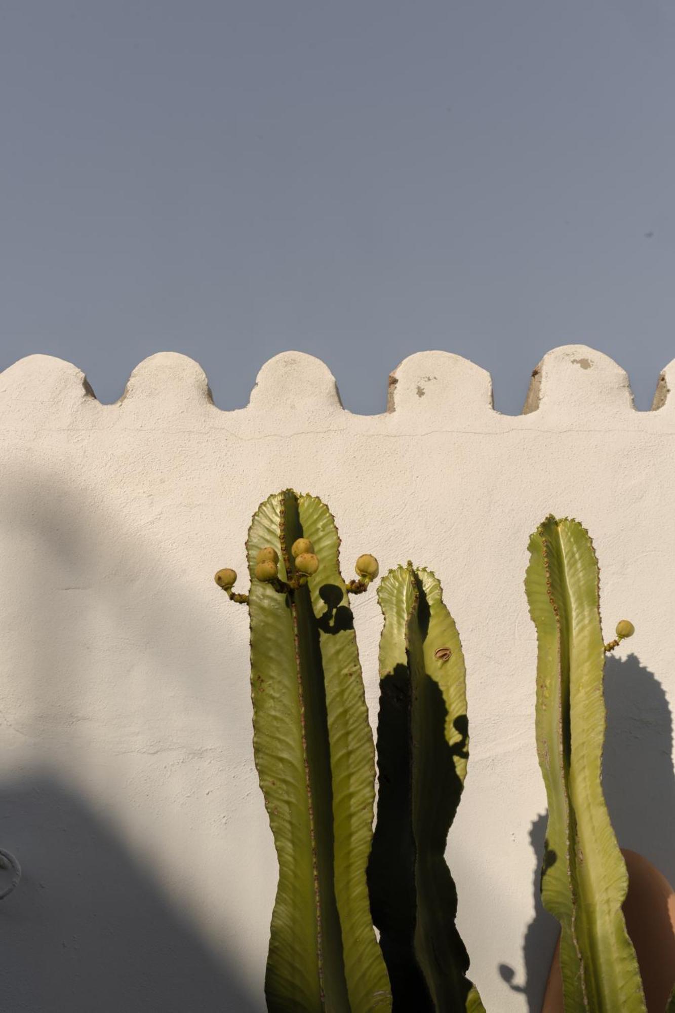 Casa Uva - Boutique Guest House Vejer de la Frontera Exterior photo